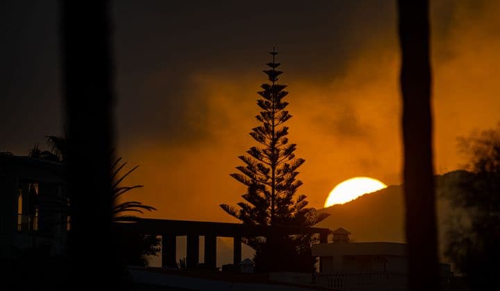 Serene sunset view with silhouetted trees and architecture in Tétouan, Morocco.