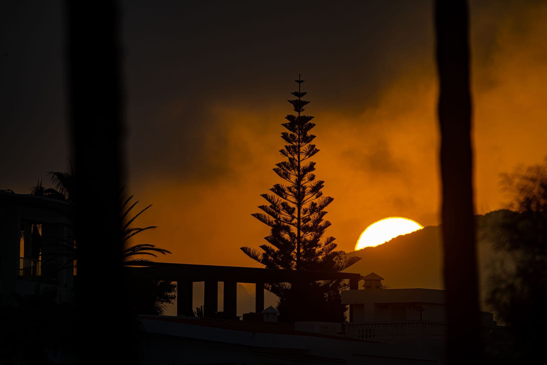 Serene sunset view with silhouetted trees and architecture in Tétouan, Morocco.
